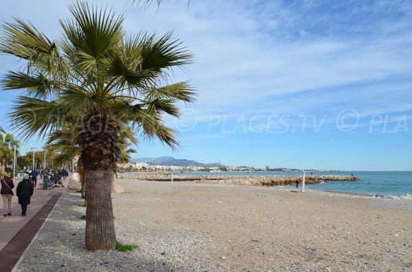 Grand Studio Tres Agreable Avec Bar, Cuisine Et Terrasse Καν-συρ-Μερ Εξωτερικό φωτογραφία